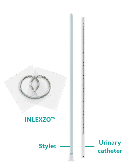 stylet and catheter shaft