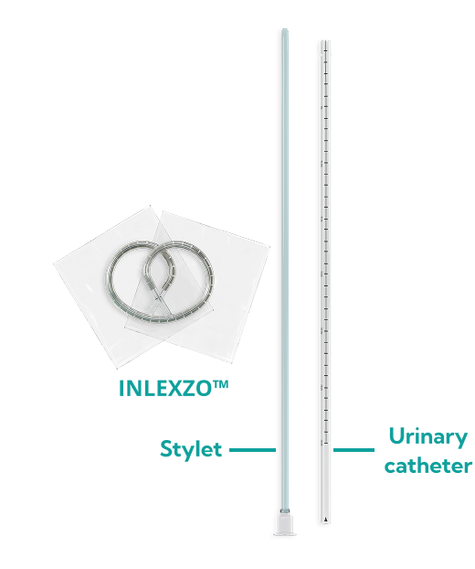 stylet and catheter shaft